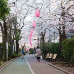 JR総武線「亀戸」徒歩９分